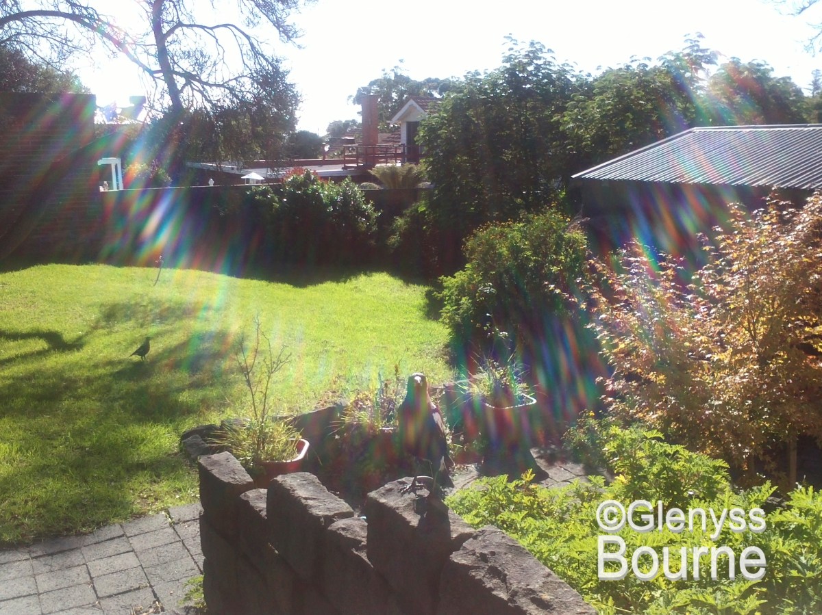 Angelic energy captured on camera.